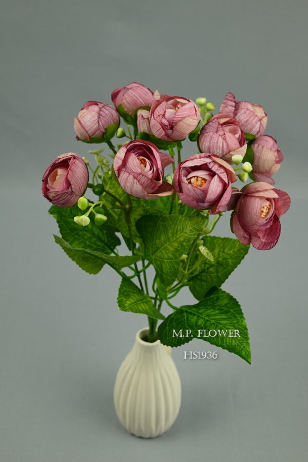Kytica ranunculus<p>HS1936 - Image 3