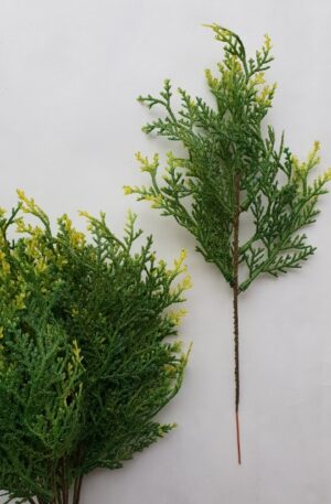 tuja green<p>41802