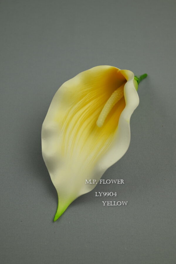 Kala<p>LY9904 - Image 5
