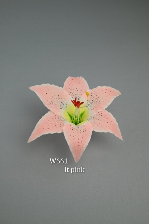 ľalia<p>W661 - Image 6