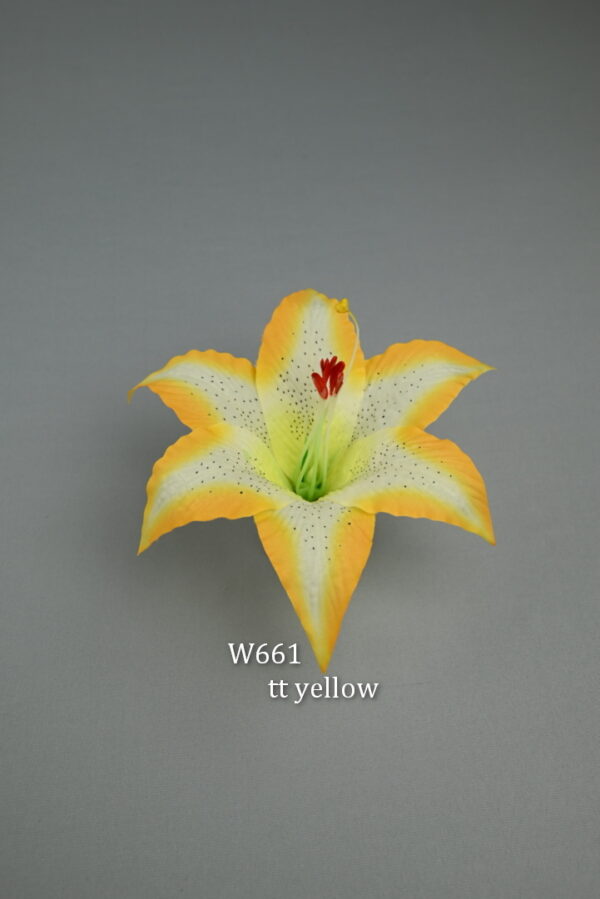 ľalia<p>W661