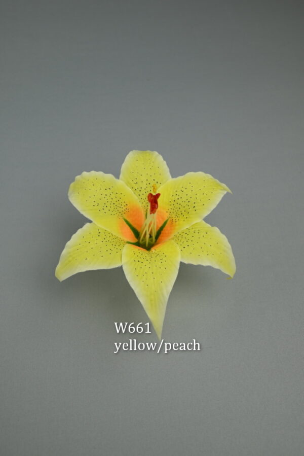 ľalia<p>W661 - Image 9