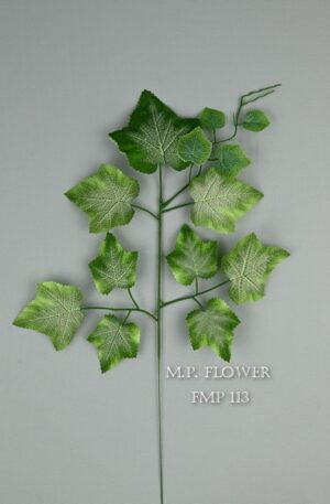 List <p>FMP 113