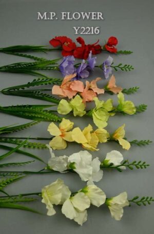 Gladiola mini<p>Y2216
