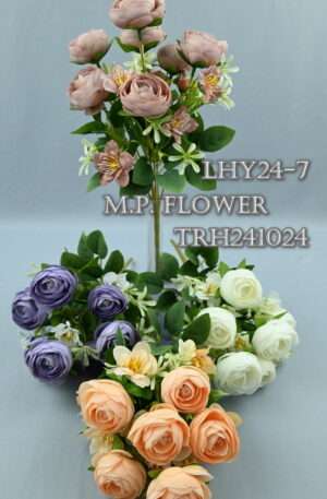 Kytica ranunculus <p>LHY24-7  TRH241024