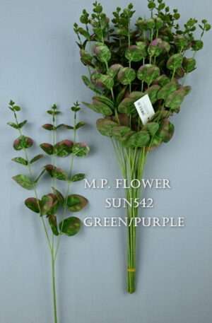 Eukalyptus green /purple<p>SUN542